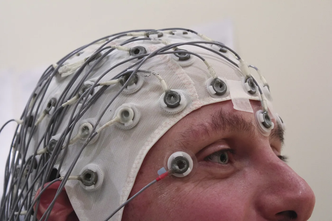 EEG recording cap for contrast with around-ear dry electrodes (Wikimedia Commons)